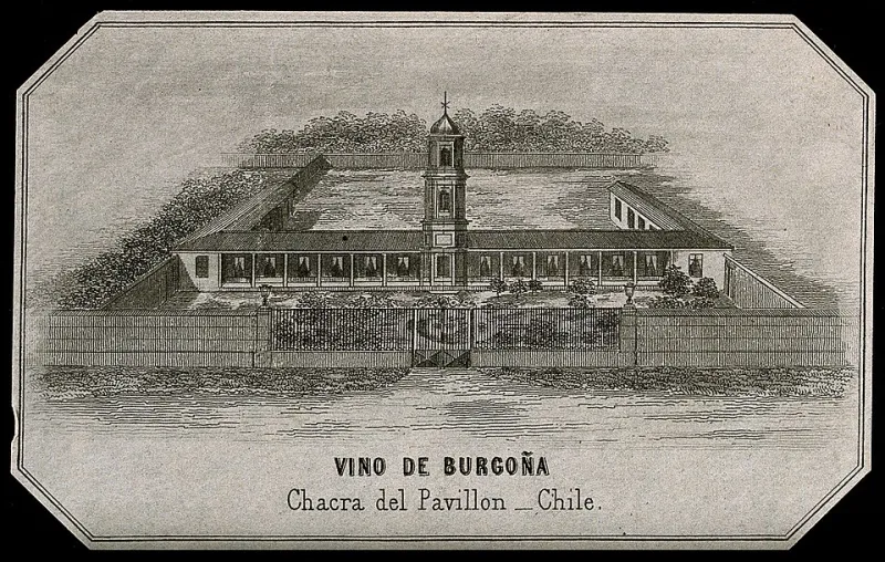 Cutting the Cost of Every Bottle: Why US Wine Importers Are Turning to Santiago-Based Logistics
